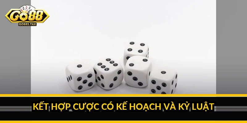 Kết hợp cược có kế hoạch và kỷ luật